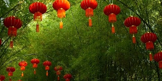 一排排传统中国风格的红灯笼挂在竹树隧道拱门上。