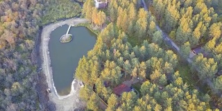 池塘边的小房子，周围是树和草。视频。房子附近树林里池塘的俯视图