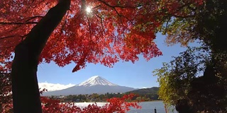 富士山秋色，日本