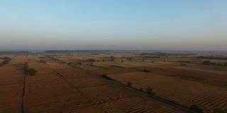 小麦收割后的空地