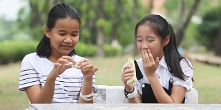 亚洲青少年与朋友在公园放松