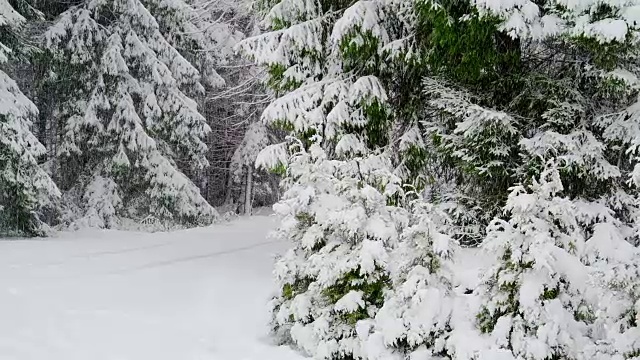 这个城市在冬季正下着雪