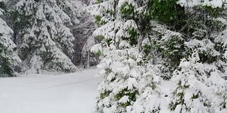 这个城市在冬季正下着雪