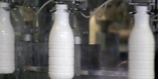 在牛奶公司的生产线上白色塑料奶瓶的镜头，瓶子被填充，密封和将要贴标签
