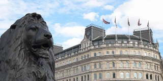 近距离观察伦敦特拉法加广场纳尔逊纪念柱上的青铜狮子