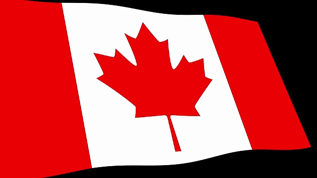 加拿大国旗在透视中缓慢摆动，4K动画镜头