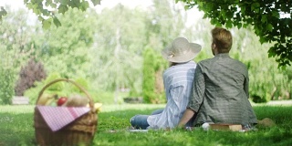 一对浪漫的情侣坐在野餐毯上欣赏大自然