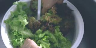 素食:清洗新鲜的沙拉