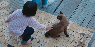一个亚洲家庭和一只温顺的灰猫玩耍