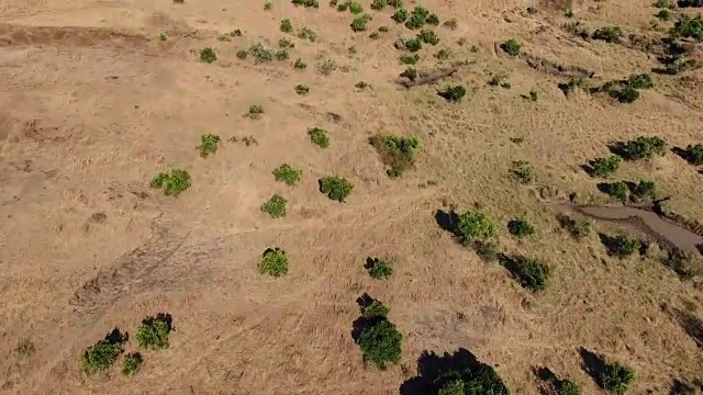 马赛马拉国家保护区鸟瞰图，肯尼亚