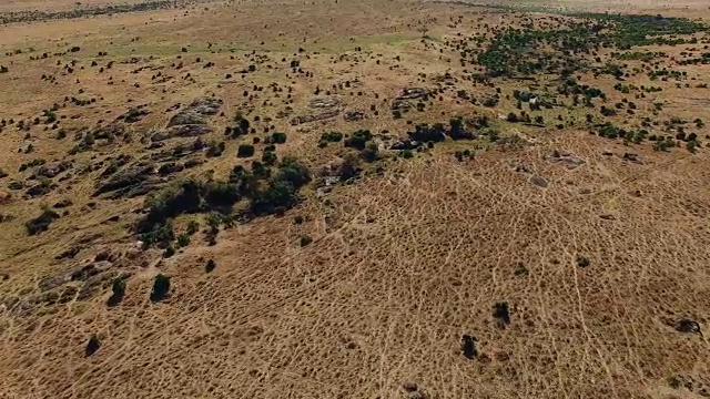 马赛马拉热带草原肯尼亚非洲鸟瞰图