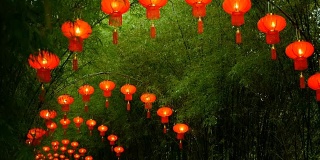 一排排传统中国风格的红灯笼挂在竹树隧道拱门上。
