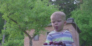 小男孩在花园里吃樱桃。桌子上有一盘樱桃。