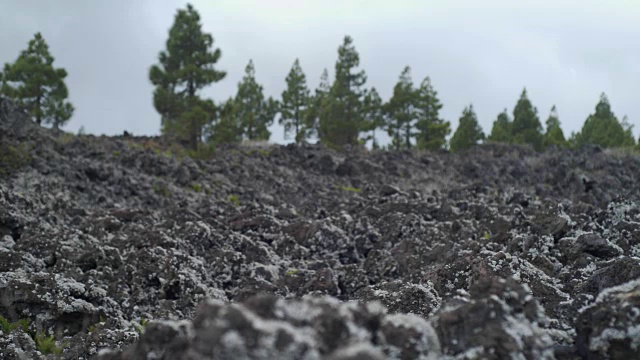 沙漠景观的冷却熔岩覆盖着苔藓和地衣