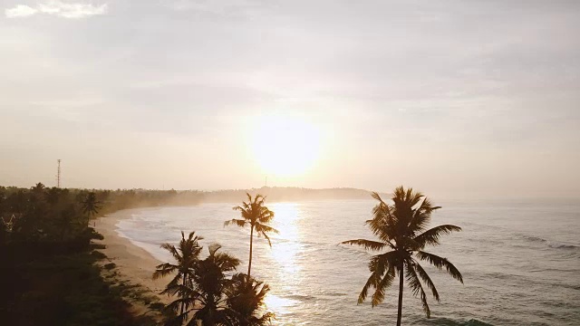 无人机沿着令人难以置信的热带日落海滩向前飞行，穿过巨大的棕榈树，海浪到达海岸