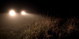 不祥的前灯照亮了雾蒙蒙的黑夜里的草地