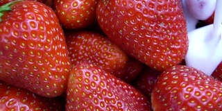 成熟红草莓与酸奶混合的慢动作视频