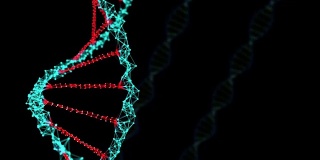 3D渲染DNA旋转在黑暗的背景，抽象的化学概念