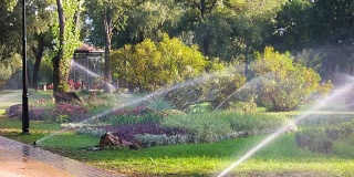 用灌水系统浇灌花草。