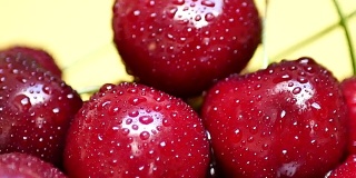 成熟多汁的深红色樱桃滴着水