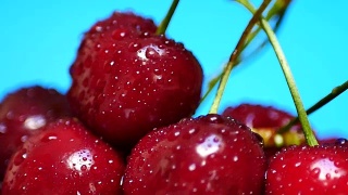成熟多汁的深红色樱桃滴着水视频素材模板下载