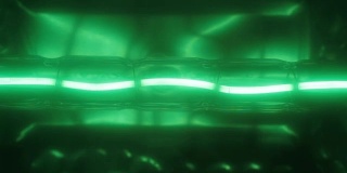 闪烁的绿色钨螺旋卤素灯泡