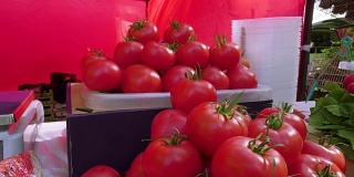 Huge tomatoes on the boxes being displayed