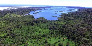 在巴拿马奎布拉达红树林的鸟瞰图
