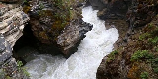 阿萨巴斯卡瀑布贾斯珀国家公园