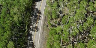 无人机飞行笔直向下看在蜿蜒的道路上