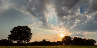 在麦田里，一棵孤独的橡树上，傍晚的天空中飘动着蓬松的云，时间一分一秒地过去