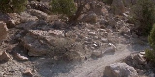 两个骑山地车的人在沙漠的岩石