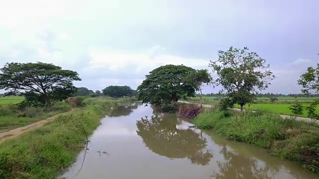 无人机拍摄的河流，运河，大树自然