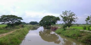 无人机拍摄的河流，运河，大树自然