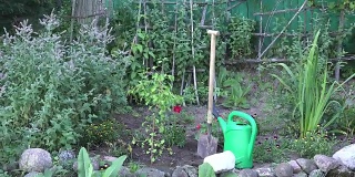 花园里的小树苗、铁锹工具和浇水罐。缩小。FullHD