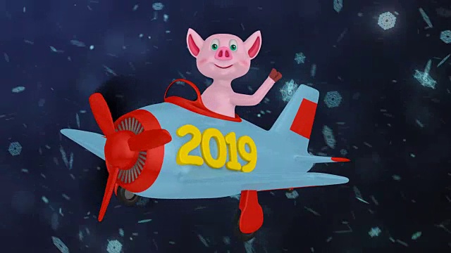 2019年飞机上的小猪