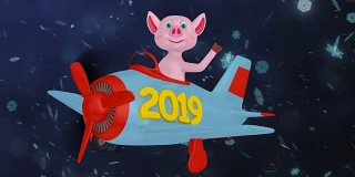 2019年飞机上的小猪