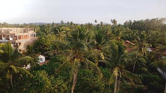 无人机在巨大的绿色椰子树和热带度假酒店和异国情调的阳光度假岛上的房子周围飞行
