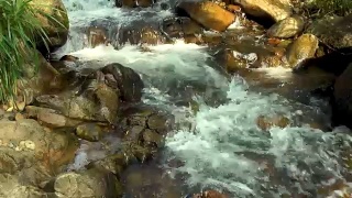 湍急的水流在岩石河在山区近距离。山河水流湍急。美丽的风景，野生的自然视频素材模板下载