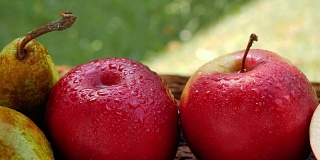 新鲜的苹果和梨与水滴