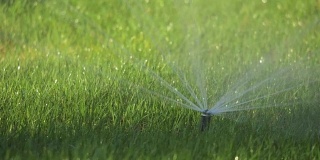 洒水车在房子附近的绿色草坪上洒水。洒水生活方式草洒水概念