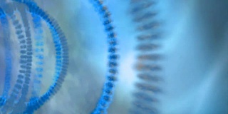 DNA科学的蓝线是圆的