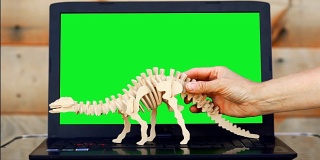 过时数据的概念。桌上放笔记本电脑，屏幕上有色度键，有放图表的地方。手带来一个木制的恐龙玩具，并把它放在键盘上的绿色屏幕的背景。