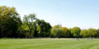 夏天在纽约的中央公园
