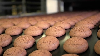 糕饼在自动传送带或流水线上烘烤，糖果厂烘焙工序。食品工业，饼干生产视频素材模板下载