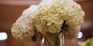 特写白花。股票。花瓶里的节日鲜花。婚礼桌上的鲜花装饰
