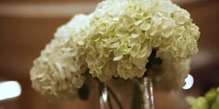 特写白花。股票。花瓶里的节日鲜花。婚礼桌上的鲜花装饰