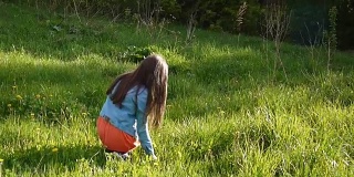 女孩在草地上采摘黄色的蒲公英。蒲公英。春季的一天。美丽的微笑少年在春天的公园与鲜花。视频拍摄运动相机与稳定器