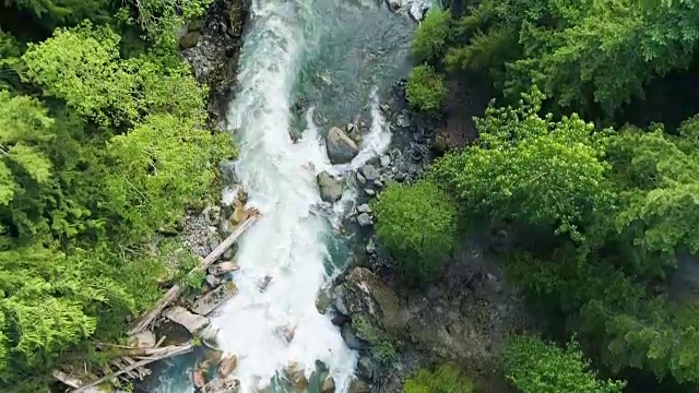 美国西北太平洋森林河流急流的无人机视图