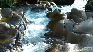 在山区湍急的河流中，小溪的水流近距离。水流在岩石密布的河里迅速流动。山河中水流湍急视频素材模板下载